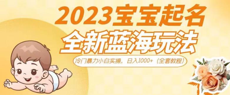 2023宝宝起名全新蓝海玩法，冷门暴力小白实操，日入1000+（全套教程）【揭秘】-副业宝典