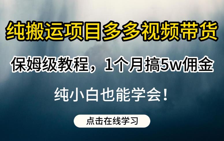 纯搬运项目多多视频带货保姆级教程，1个月搞5w佣金，纯小白也能学会【揭秘】-副业宝典