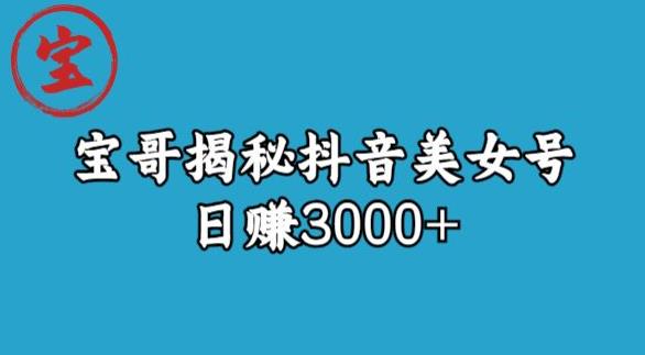 宝哥揭秘抖音美女号玩法，日赚3000+【揭秘】-副业宝典