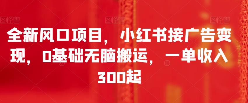 全新风口项目，小红书接广告变现，0基础无脑搬运，一单收入300起-副业宝典