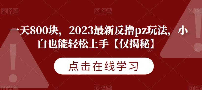 一天800块，2023最新反撸pz玩法，小白也能轻松上手【仅揭秘】-副业宝典