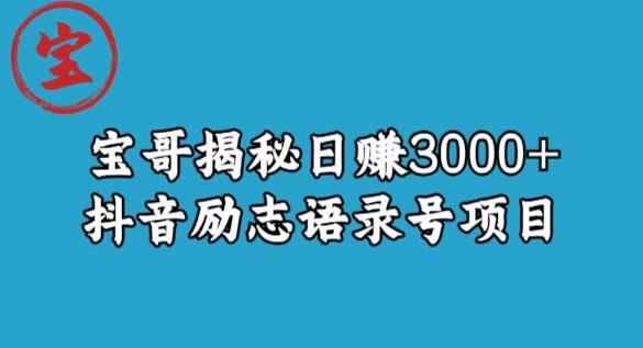 宝哥揭秘日赚3000+抖音励志语录号短视频变现项目-副业宝典