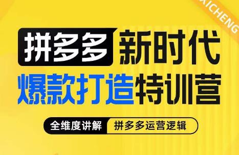 玺承·拼多多新时代爆款打造特训营，全维度讲解拼多多运营逻辑-副业宝典