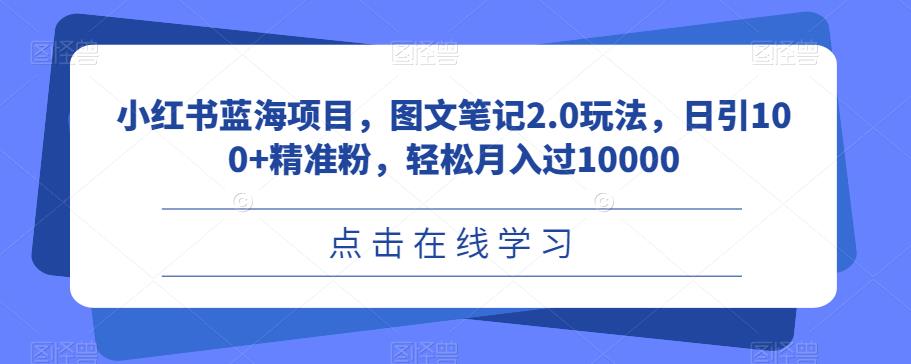 小红书蓝海项目，图文笔记2.0玩法，日引100+精准粉，轻松月入过10000【揭秘】-副业宝典