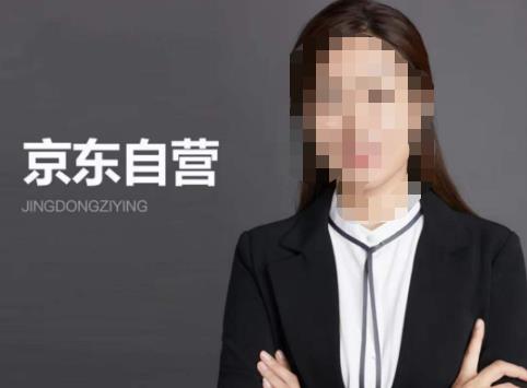 【李丽君】京东自营入门——京东从入驻到技术全套资源匹配-副业宝典