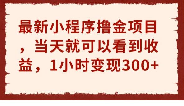 最新小程序撸金项目，当天就可以看到收益，1小时变现300+【揭秘】-副业宝典