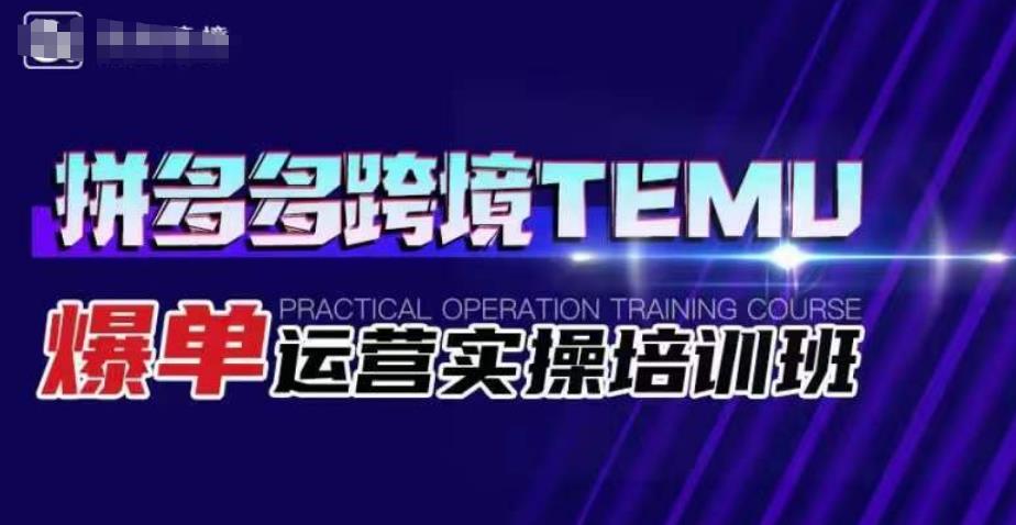拼多多跨境TEMU爆单运营实操培训班，海外拼多多的选品、运营、爆单-副业宝典