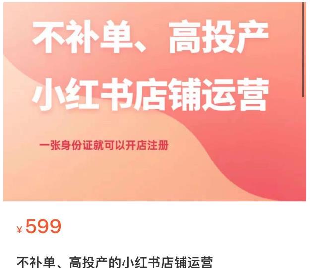 不补单、高投产的小红书店铺运营，一张身份证就可以开店注册-副业宝典