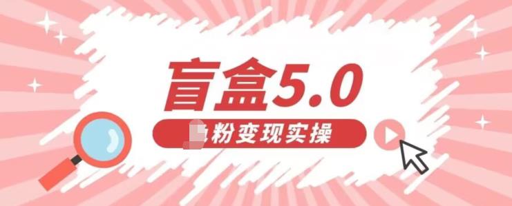盲盒交友5.0，男粉变现实操项目，亲测变现效果极好【揭秘】-副业宝典