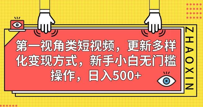 第一视角类短视频，更新多样化变现方式，新手小白无门槛操作，日入500+【揭秘】-副业宝典