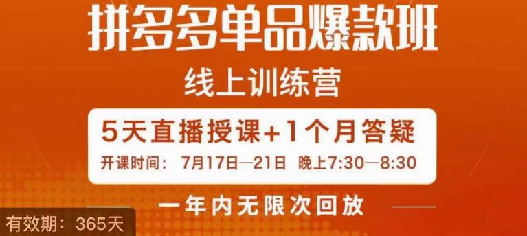 钟辰·拼多多单品爆款班，一个拼多多超级爆款养一个团队-副业宝典