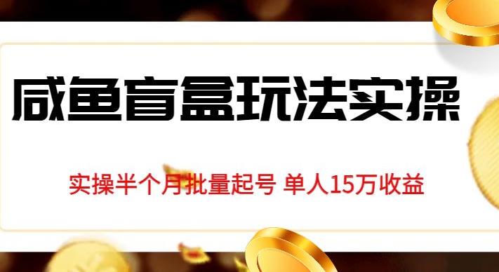 独家首发咸鱼盲盒玩法实操，半个月批量起号单人15万收益【揭秘】-副业宝典