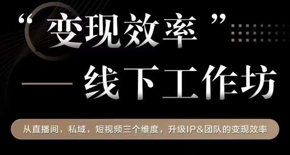 变现效率线下工作坊，从‮播直‬间、私域、‮视短‬频‮个三‬维度，升级IP和团队变现效率-副业宝典
