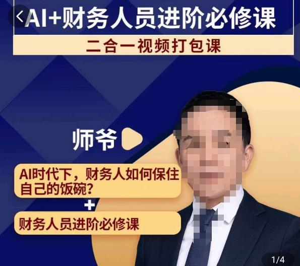 AI+财务人员进阶必修课二合一视频打包课，财务人员进阶必修课-副业宝典