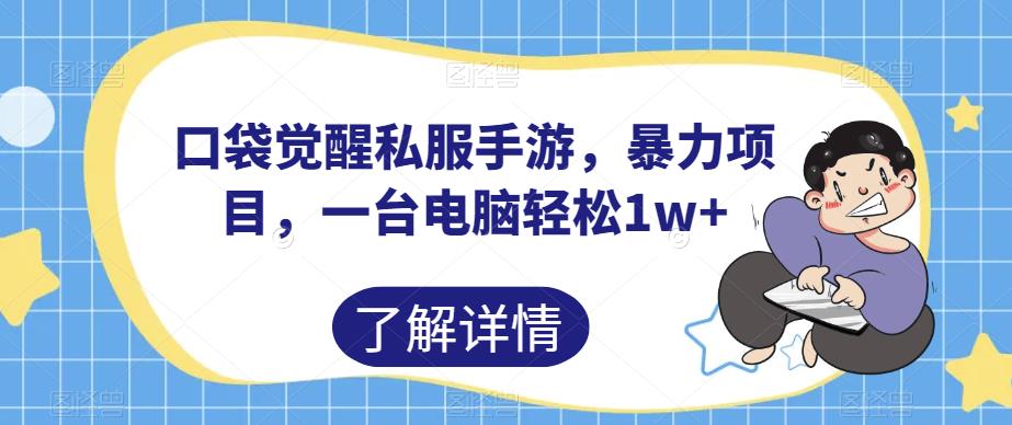 口袋觉醒私服手游，暴力项目，一台电脑轻松1w+【揭秘】-副业宝典