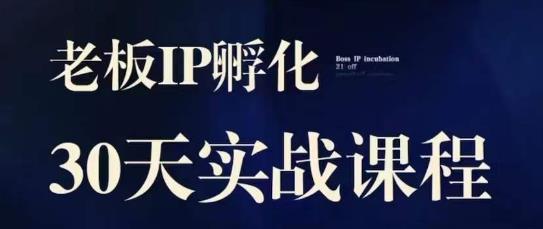 诸葛·2023老板IP实战课，实体同城引流获客，IP孵化必听-副业宝典