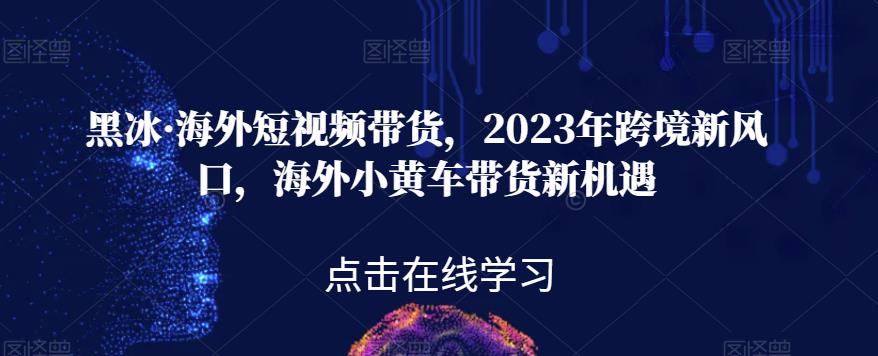 黑冰·海外短视频带货，2023年跨境新风口，海外小黄车带货新机遇-副业宝典