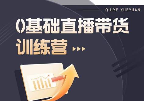 2023直播带货入门进阶运营实训课程，新手直播运营培训实操课-副业宝典