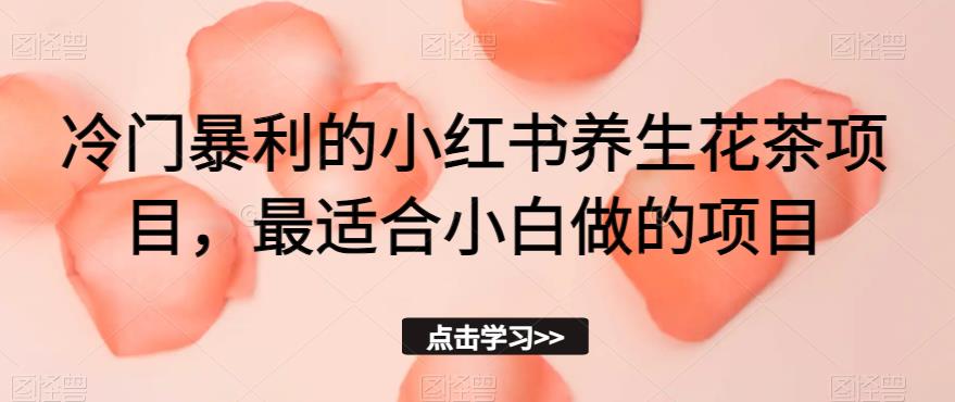 冷门暴利的小红书养生花茶项目，最适合小白做的项目【揭秘】-副业宝典
