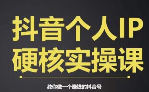 个人IP创富系统实战课，商业定位，流量打造，短视频变现，教你做个赚钱的抖音号-副业宝典