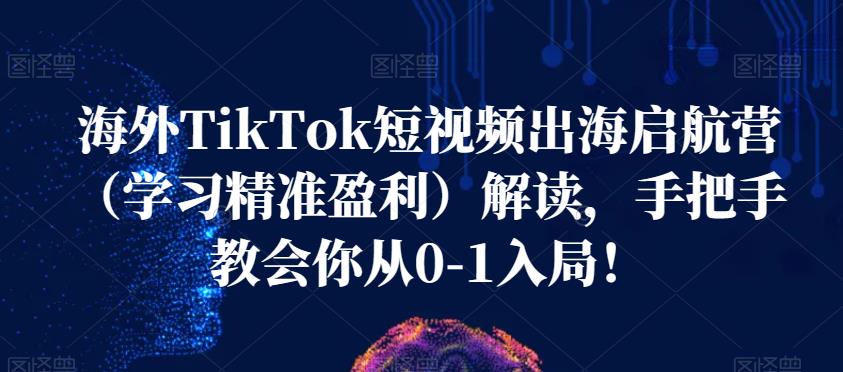 海外TikTok短视频出海启航营（学习精准盈利）解读，手把手教会你从0-1入局！-副业宝典