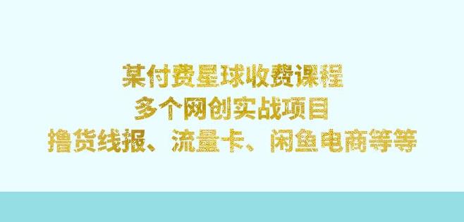 某付费星球课程：多个网创实战项目，撸货线报、流量卡、闲鱼电商等（文档非视频）-副业宝典
