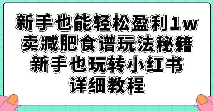 新手也能轻松盈利1w，卖减肥食谱玩法秘籍，新手也玩转小红书详细教程【揭秘】-副业宝典