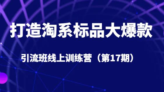 打造淘系标品大爆款引流班线上训练营（第17期）5天直播授课-副业宝典