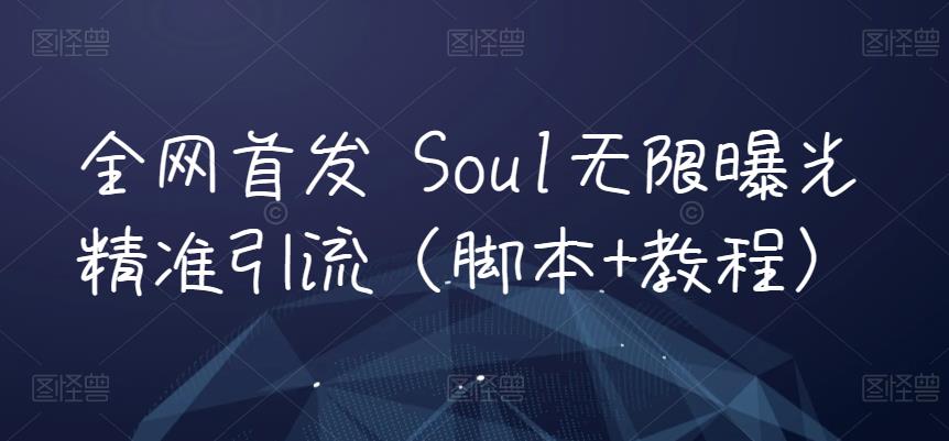 全网首发 Soul无限曝光精准引流（脚本+教程）-副业宝典