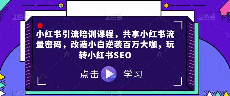 小红书引流培训课程，共享小红书流量密码，改造小白逆袭百万大咖，玩转小红书SEO-副业宝典