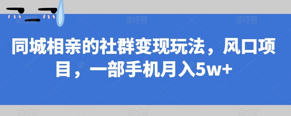 同城相亲的社群变现玩法，风口项目，一部手机月入5w+【揭秘】-副业宝典