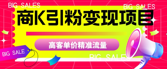 商K引粉变现项目，高客单价精准流量【揭秘】-副业宝典
