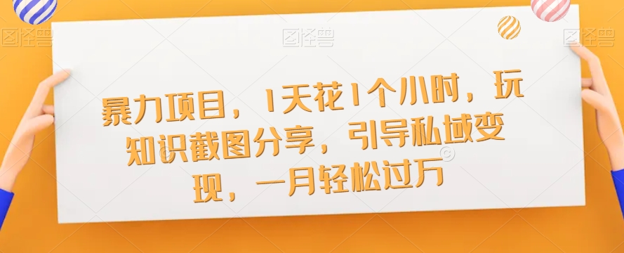 暴力项目，1天花1个小时，玩知识截图分享，引导私域变现，一月轻松过万【截图】-副业宝典