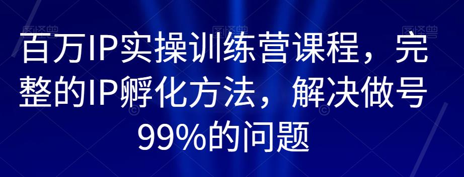 百万IP实操训练营课程，完整的IP孵化方法，解决做号99%的问题-副业宝典