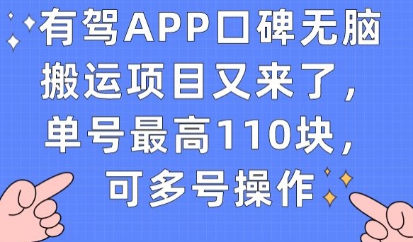 有驾APP口碑无脑搬运项目又来了，单号最高110块，可多号操作-副业宝典