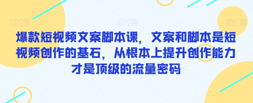 爆款短视频文案脚本课，文案和脚本是短视频创作的基石，从根本上提升创作能力才是顶级的流量密码-副业宝典