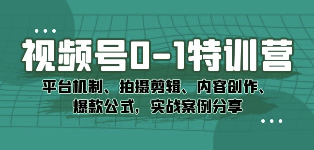 视频号0-1特训营：平台机制、拍摄剪辑、内容创作、爆款公式，实战案例分享-副业宝典