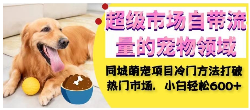 超级市场自带流量的宠物领域，同城萌宠项目冷门方法打破热门市场，小白轻松600+-副业宝典