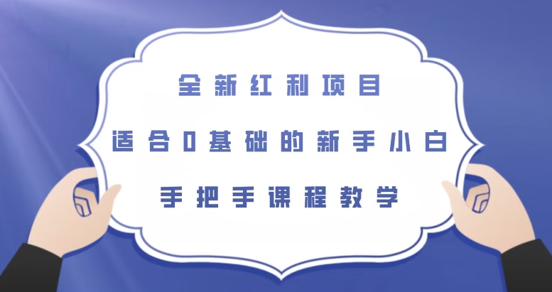 全新红利项目，适合0基础的新手小白，手把手课程教学【揭秘】-副业宝典