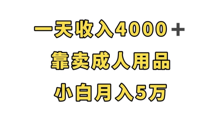 一天收入4000+，靠卖成人用品，小白轻松月入5万【揭秘】-副业宝典