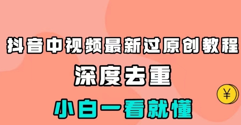 抖音中视频最新过原创教程，深度去重，小白一看就懂【揭秘】-副业宝典