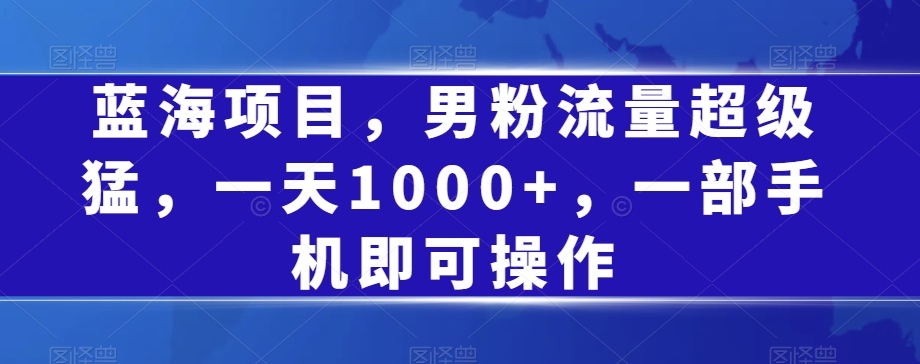 蓝海项目，男粉流量超级猛，一天1000+，一部手机即可操作【揭秘】-副业宝典