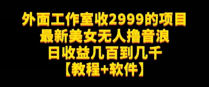 外面工作室收2999的项目最新美女无人撸音浪日收益几百到几千【教程+软件】（仅揭秘）-副业宝典