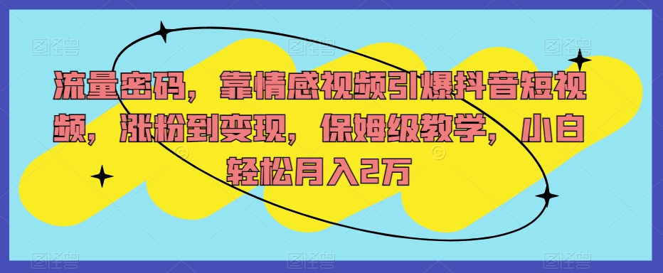 流量密码，靠情感视频引爆抖音短视频，涨粉到变现，保姆级教学，小白轻松月入2万【揭秘】-副业宝典