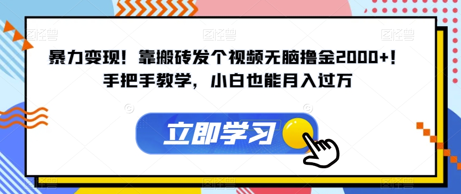 暴力变现！靠搬砖发个视频无脑撸金2000+！手把手教学，小白也能月入过万【揭秘】-副业宝典