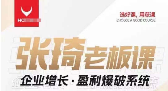 【组合课】张琦张琦老板企业增长·盈利爆破系统（直播专享）-副业宝典