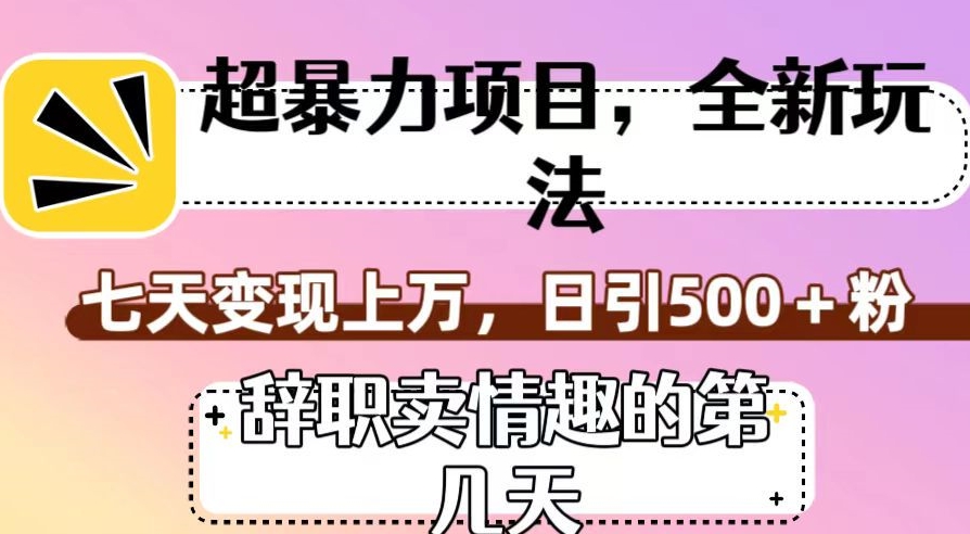 超暴利项目，全新玩法（辞职卖情趣的第几天），七天变现上万，日引500+粉【揭秘】-副业宝典