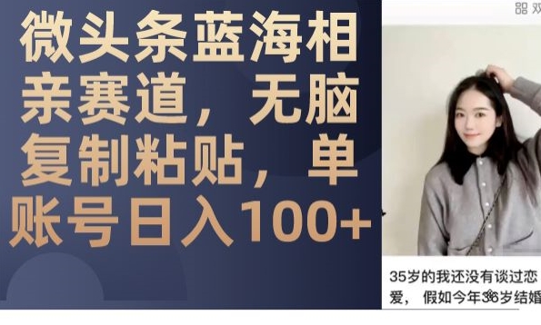 微头条蓝海相亲赛道，无脑复制粘贴，单账号日入100+-副业宝典