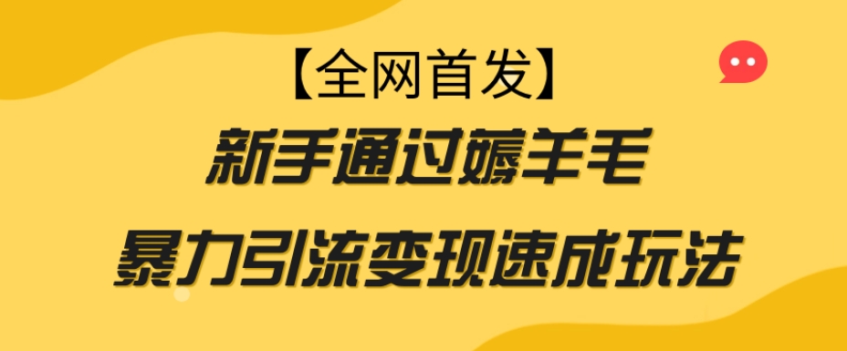 【全网首发】新手通过薅羊毛暴力引流变现速成玩法-副业宝典