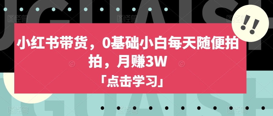 小红书带货，0基础小白每天随便拍拍，月赚3W【揭秘】-副业宝典